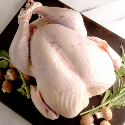 Pastured Chicken & Poultry