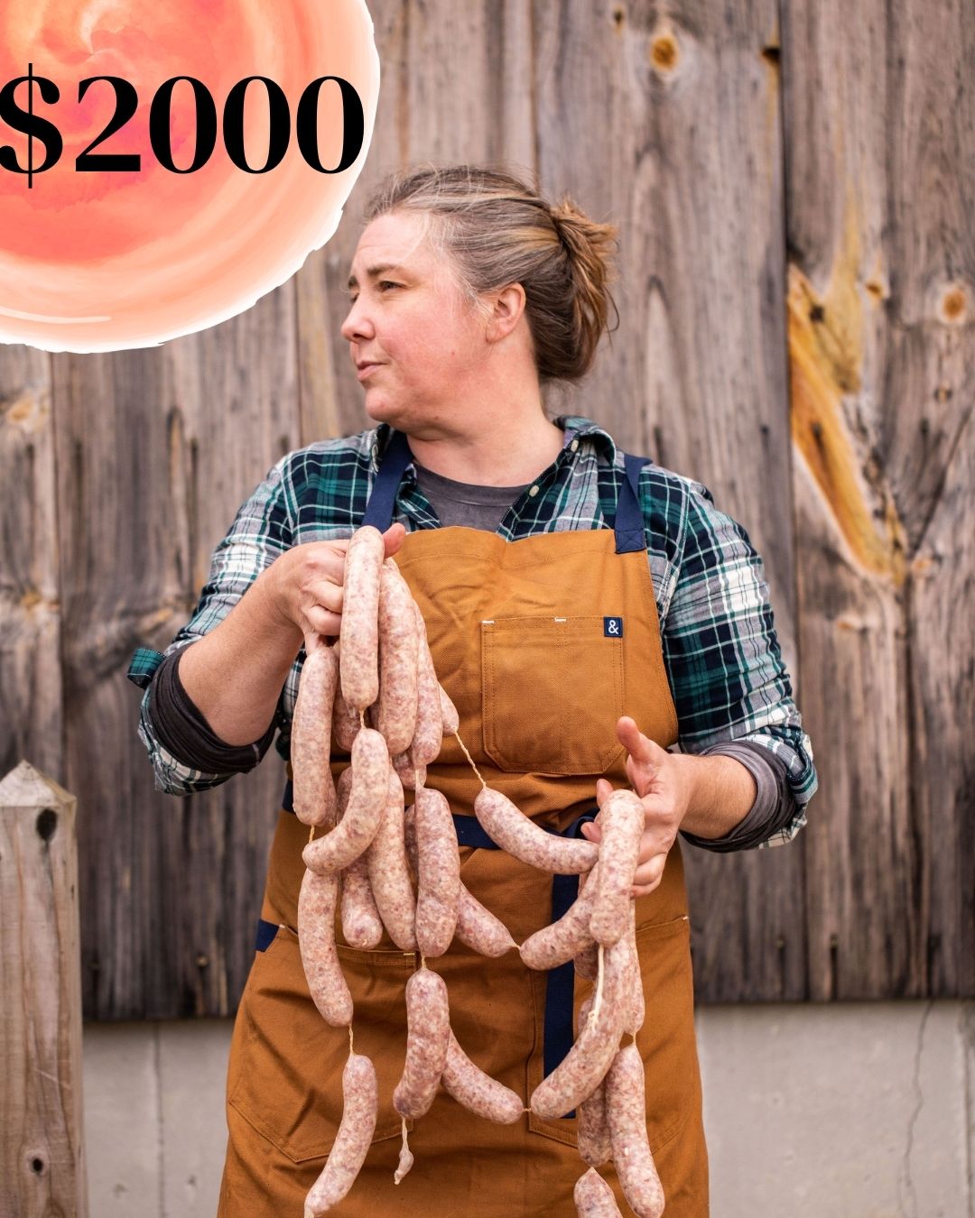 Help Bring Our USDA Processing Facility To Life