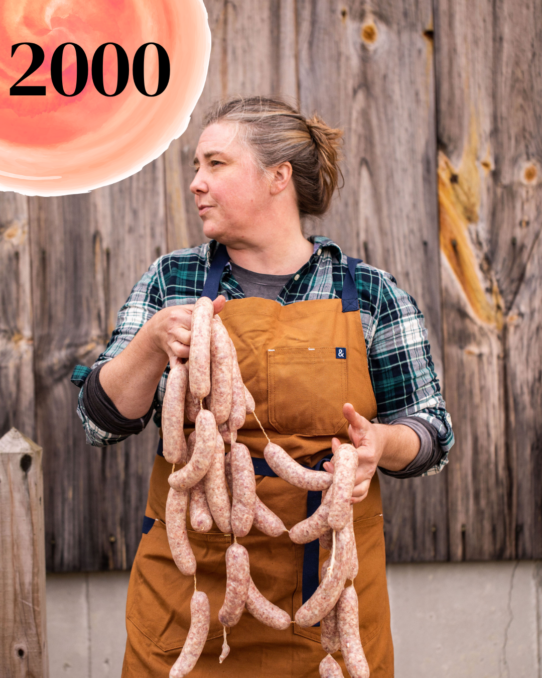 Help Bring Our USDA Processing Facility To Life