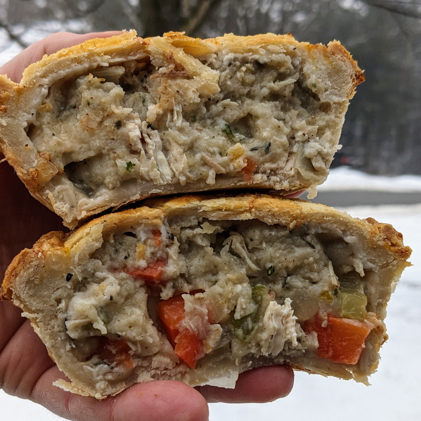 Chicken & Vegetable Pot Pie